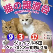 【千葉県 君津市】猫の譲渡会