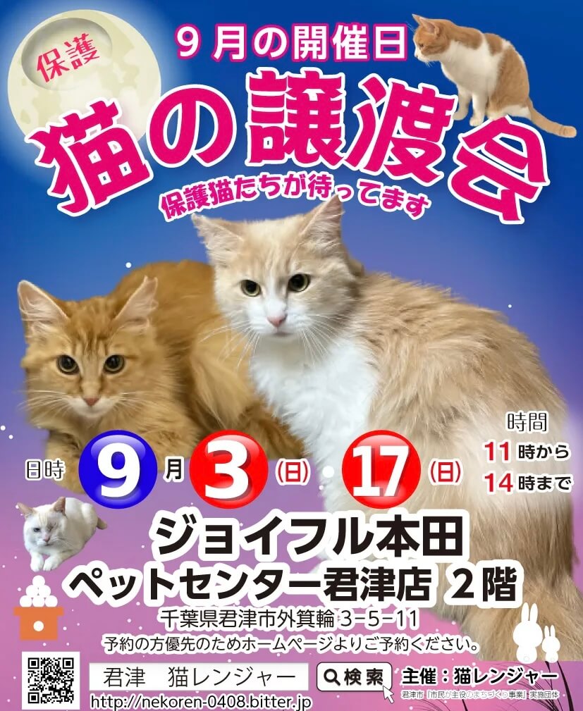 【千葉県 君津市】猫の譲渡会