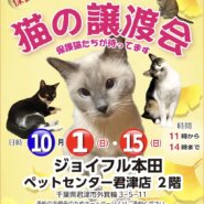 【千葉県 君津市】猫の譲渡会