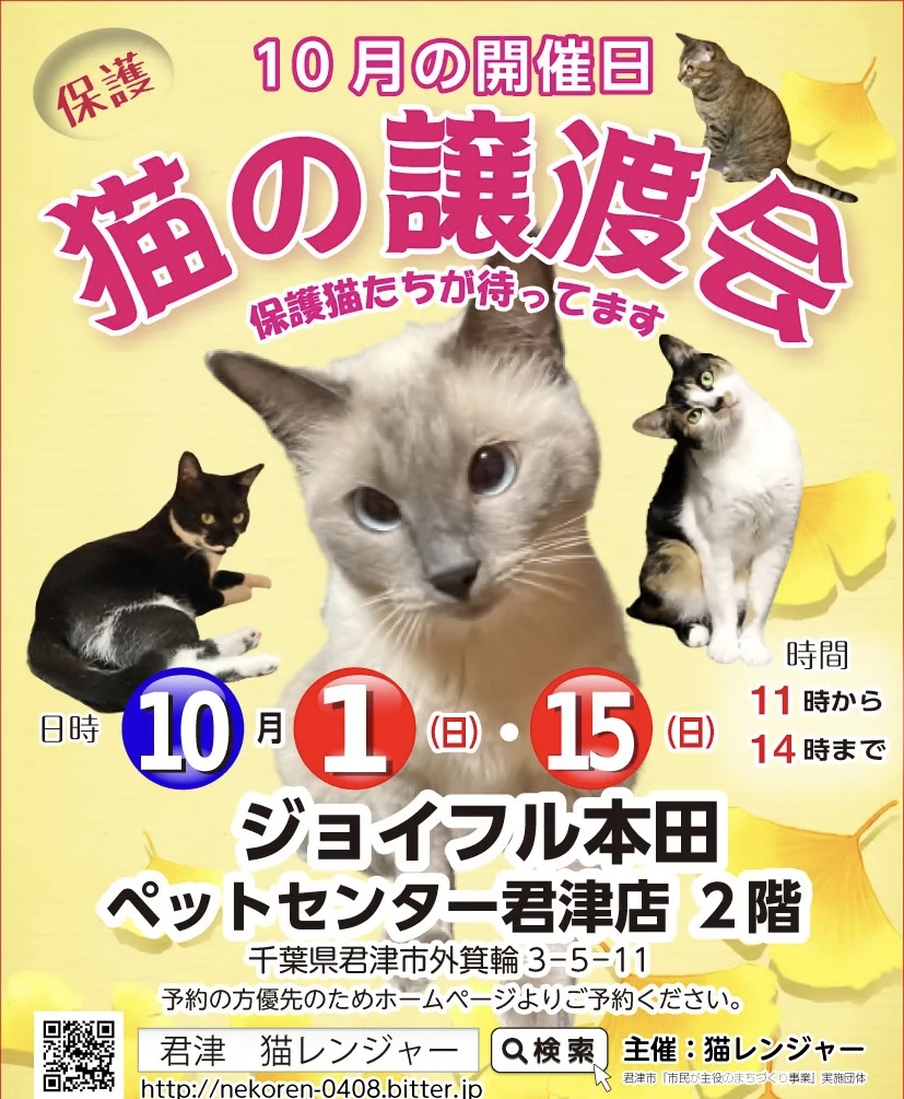 【千葉県 君津市】猫の譲渡会