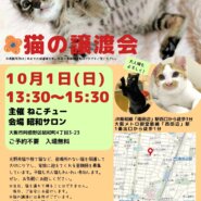 ねこチュー第19回猫の譲渡会