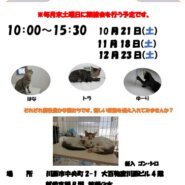 保護猫譲渡会