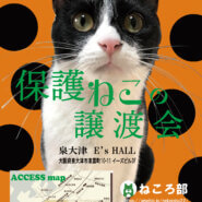 「保護ねこの譲渡会」