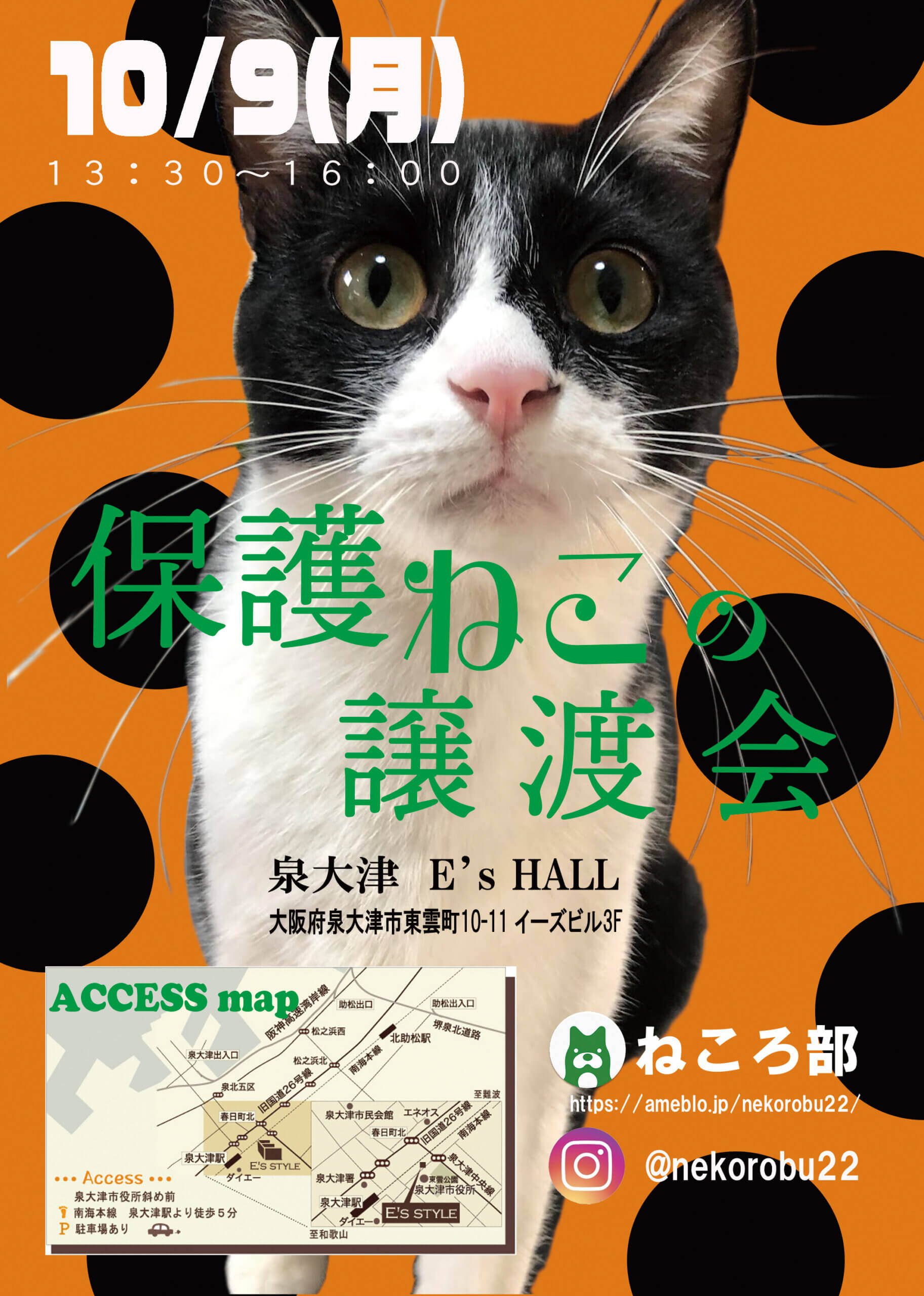 「保護ねこの譲渡会」