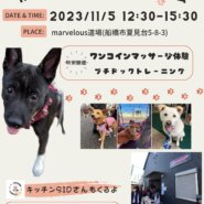 マーベラス協賛譲渡会