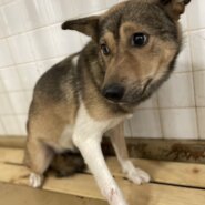 まだ幼い感じの女の子です