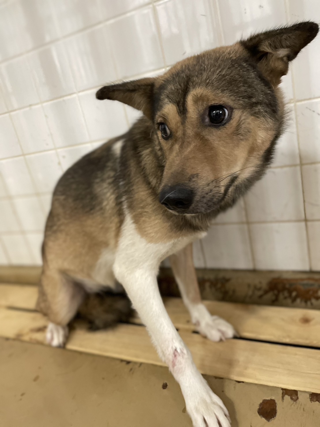 まだ幼い感じの女の子です