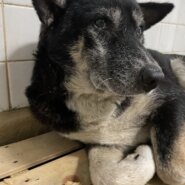 怖くて固まってます　期限あります