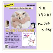 10/15(日)ねこのおうちさがし＠忠岡