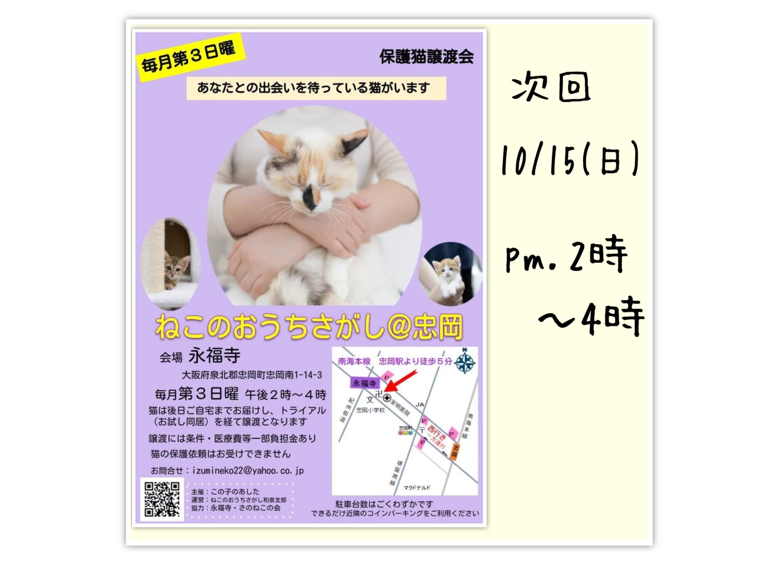 10/15(日)ねこのおうちさがし＠忠岡