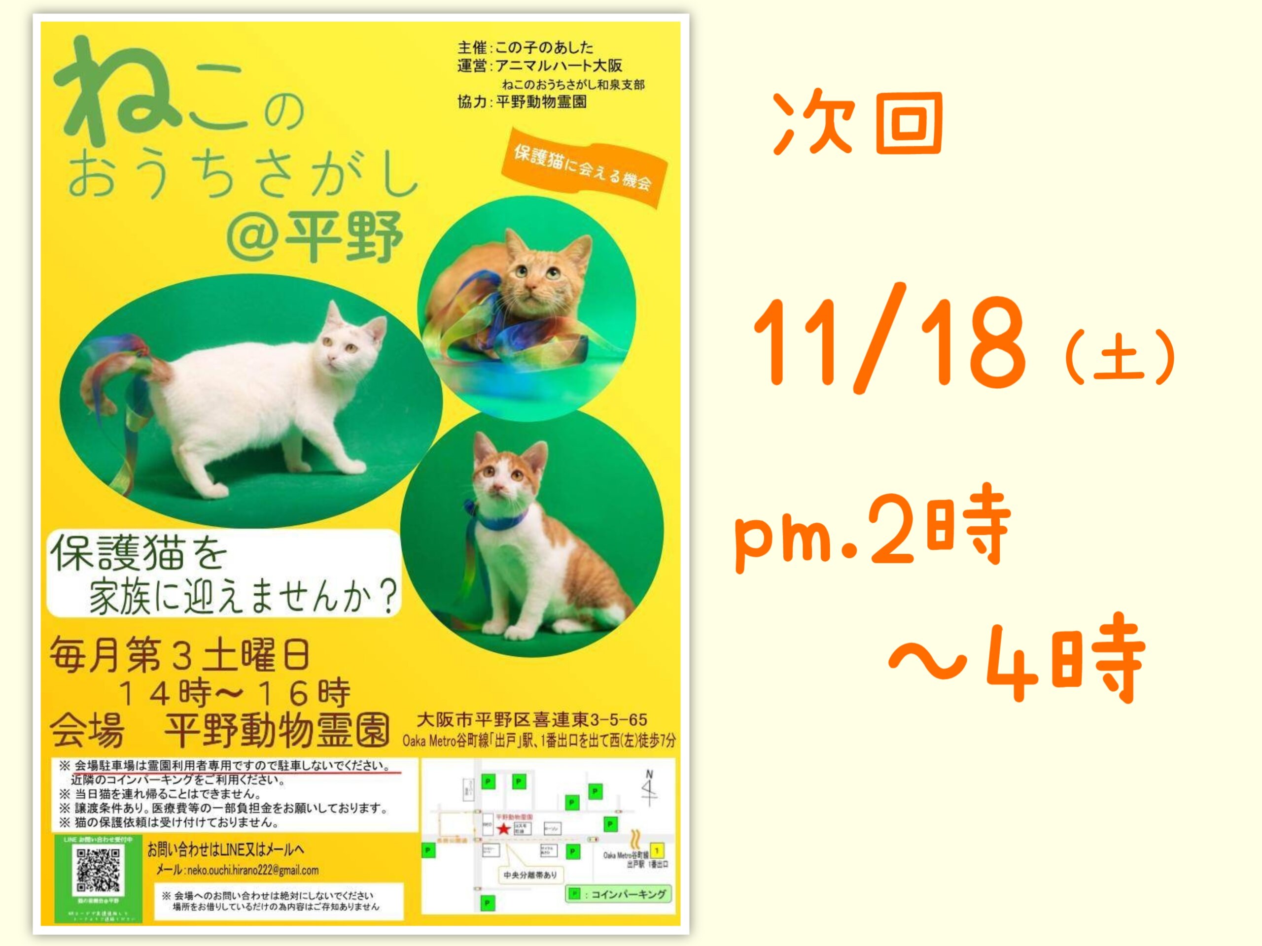 11/18(土) ねこのおうちさがし＠平野