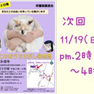 11/19(日) ねこのおうちさがし＠忠岡