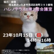 ♡ハレノテラス保護猫譲渡会♡さいたま市