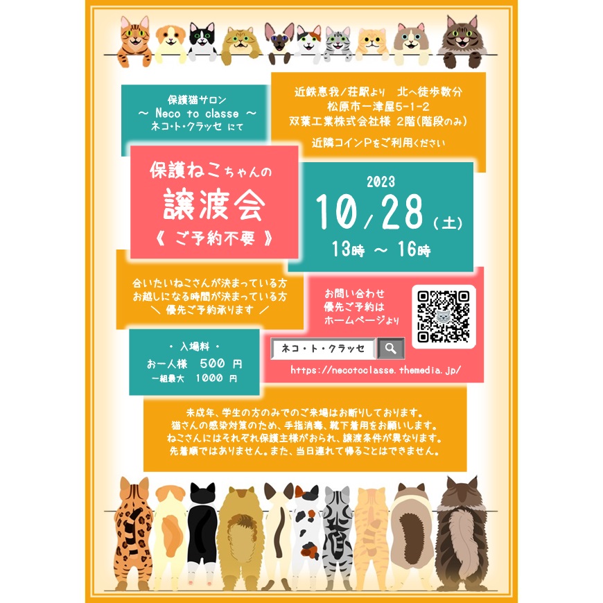 ネコトクラッセ譲渡会