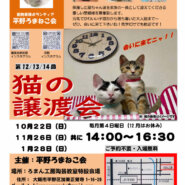 第13回平野ろまねこ譲渡会