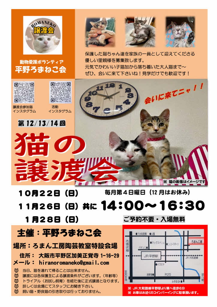 第13回平野ろまねこ譲渡会