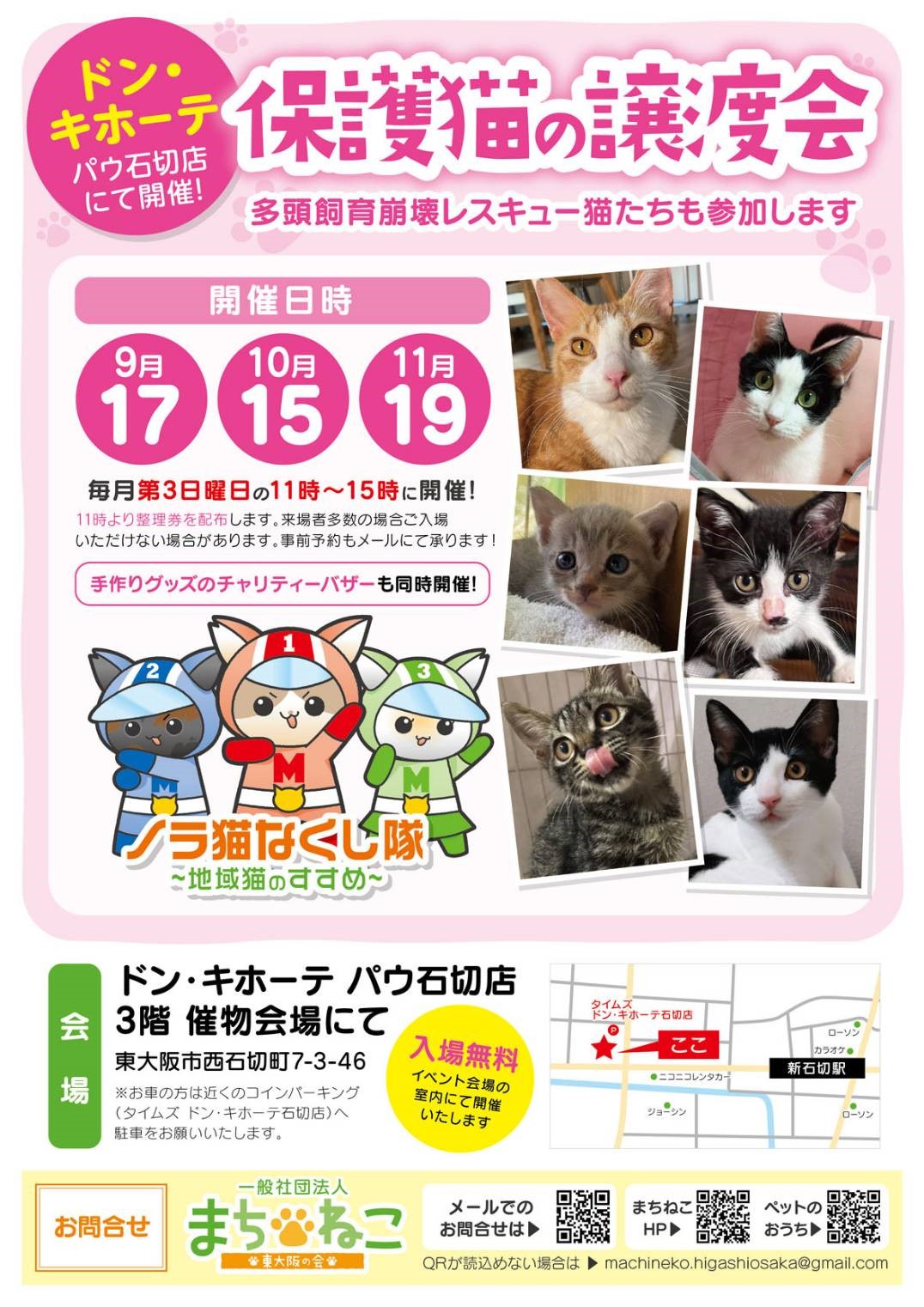 保護猫の譲渡会