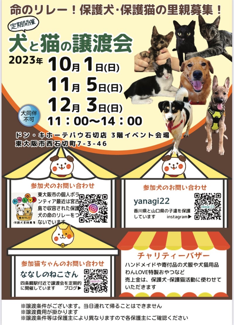 犬と猫の合同譲渡会