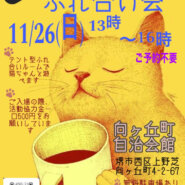 保護猫のふれあい会