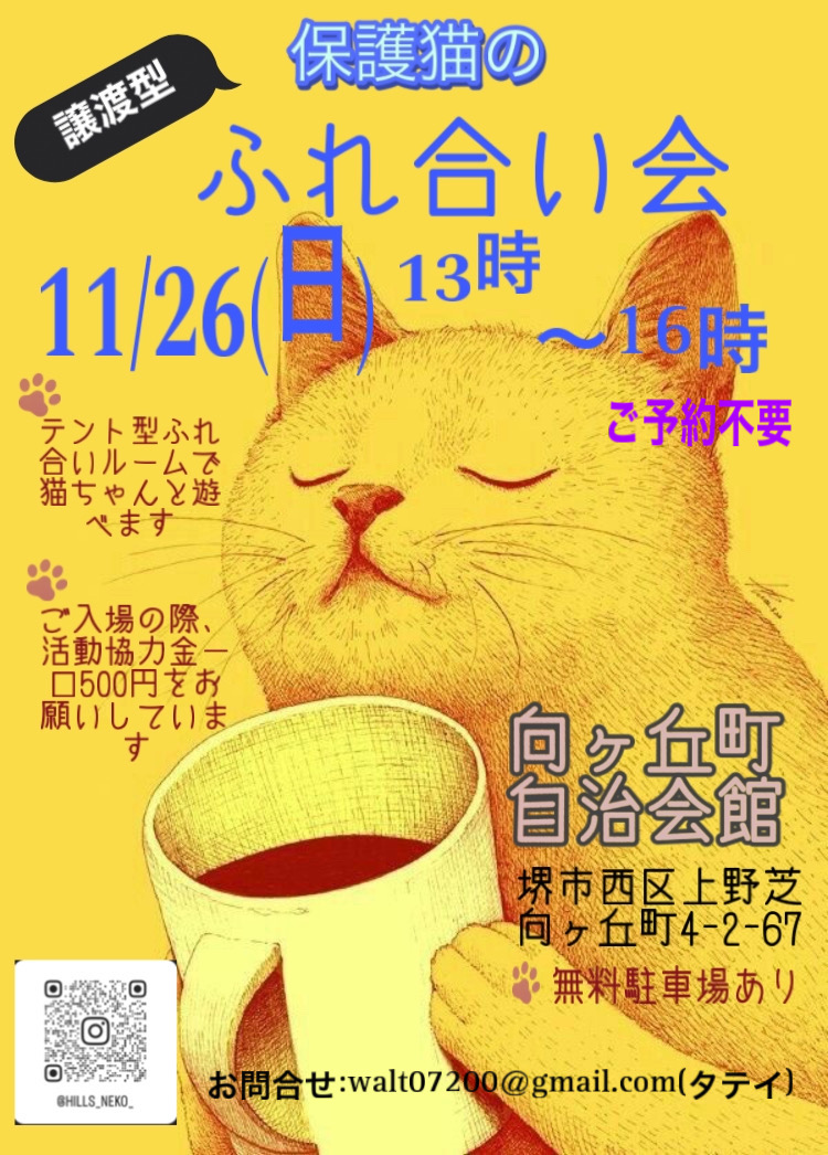 保護猫のふれあい会
