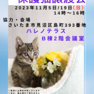 ♡ハレノテラス保護猫譲渡会♡さいたま市