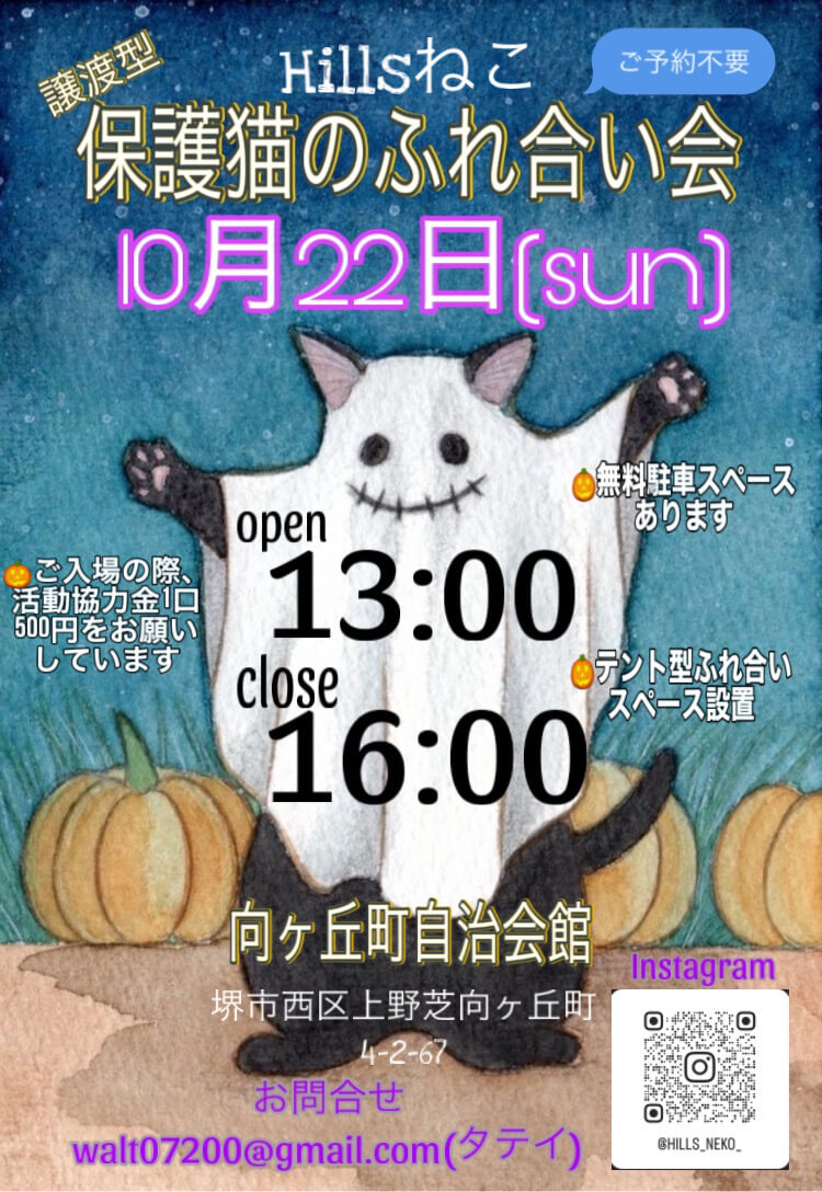 保護猫のふれあい会