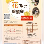 花ねこ譲渡会（船橋会場）