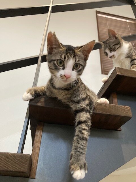 甘えん坊な男の子