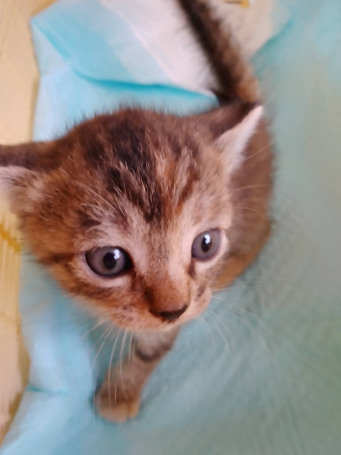 2ヶ月弱決まりそうです。