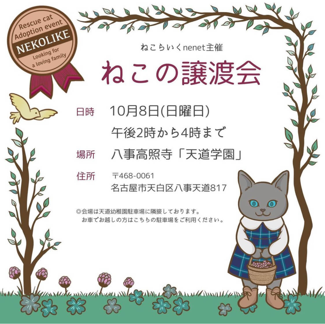 ねこの譲渡会