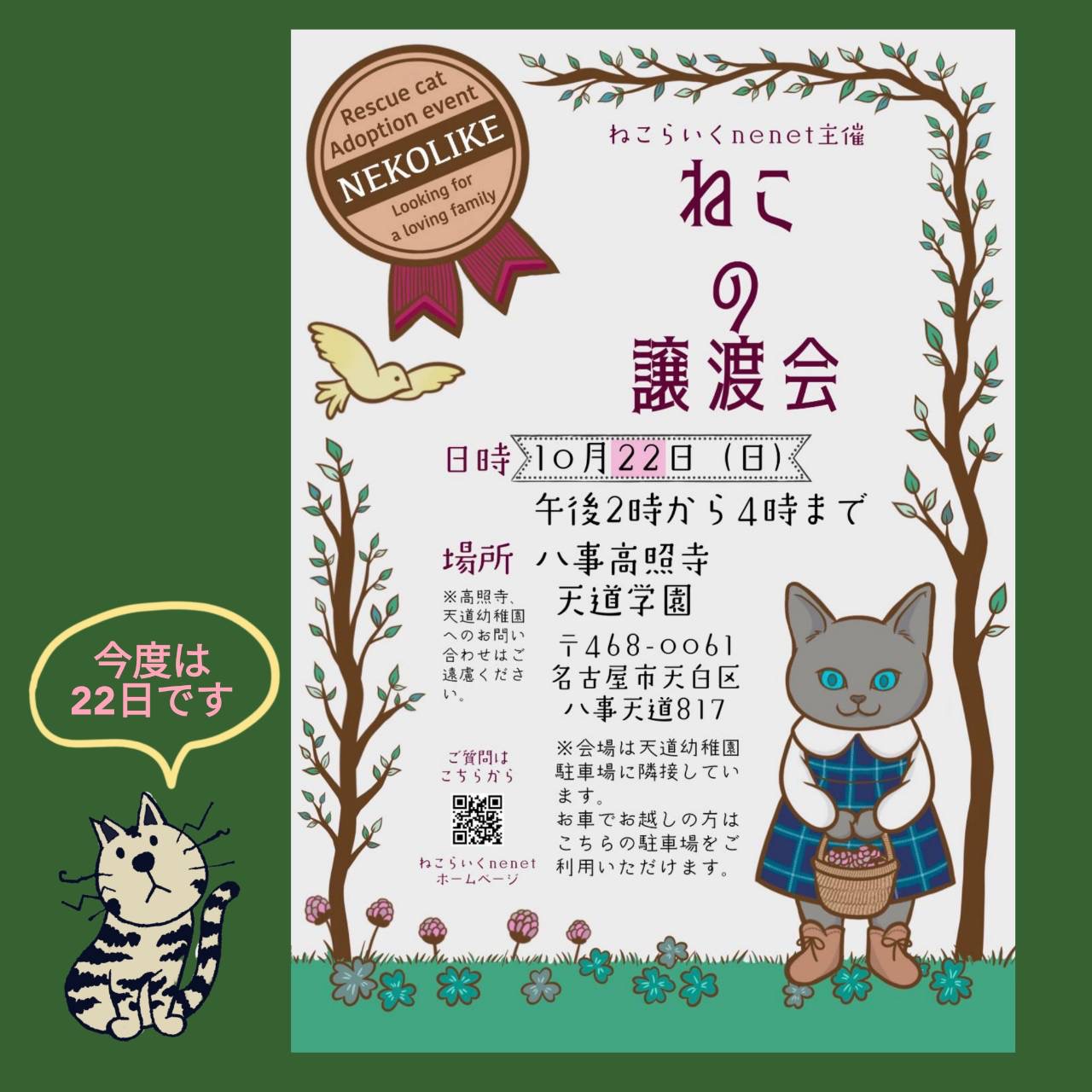 ねこの譲渡会