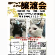 ツムグ小さな譲渡会