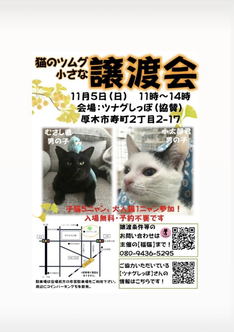 ツムグ小さな譲渡会