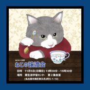 ねこの譲渡会