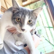 ナデナデ大好き♡とても優しいテン君