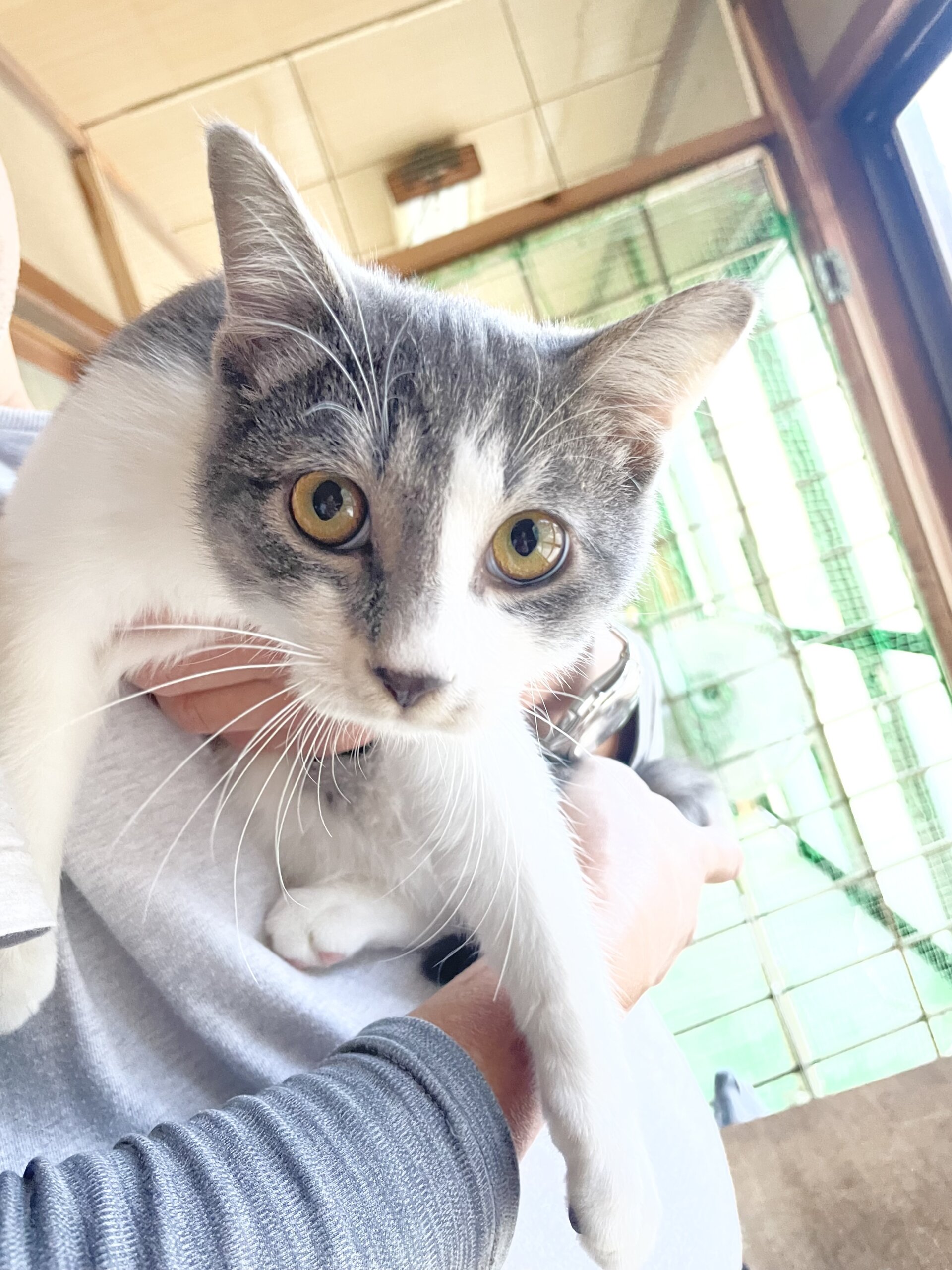 ナデナデ大好き♡とても優しいテン君