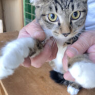 うるうるした瞳で見つめられたらイチコロ！陽くん