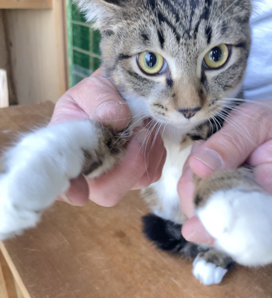 うるうるした瞳で見つめられたらイチコロ！陽くん