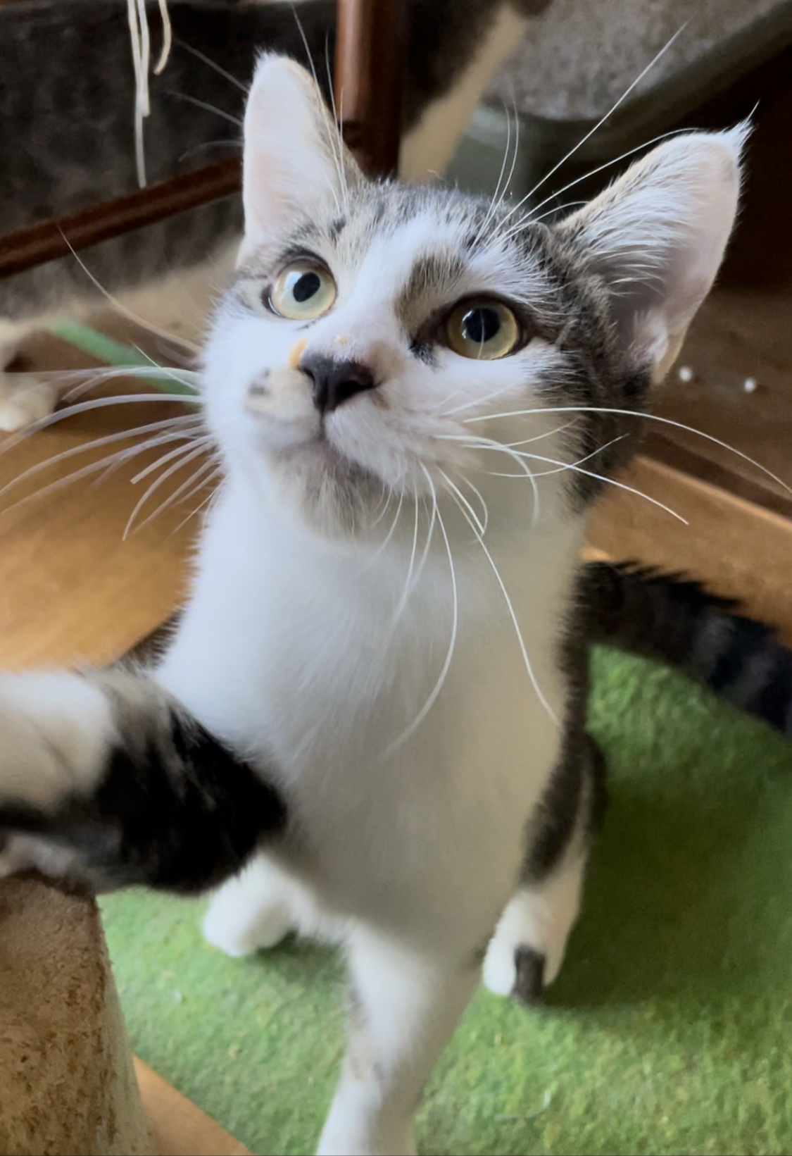 男前だけど実は優しい甘えん坊の海老蔵くん♡