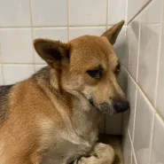 兄弟で捕獲でしょうか？優しい顔してます