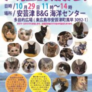 犬猫譲渡会