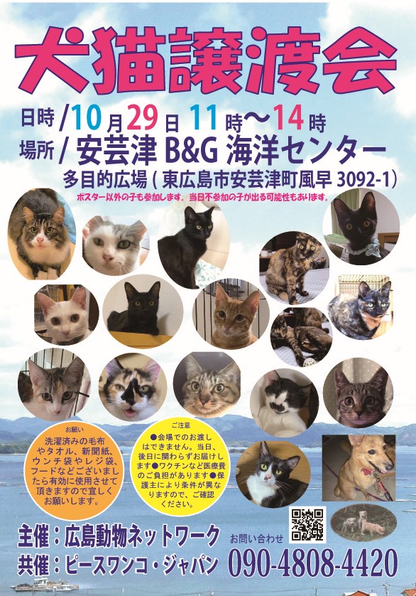 犬猫譲渡会