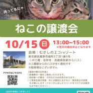 むさしの地域猫の会　譲渡会