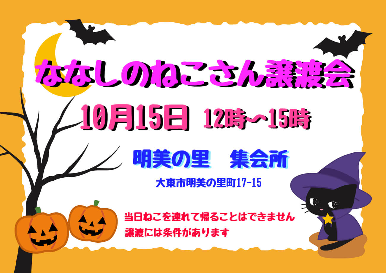 10月15日　ななしのねこさん譲渡会