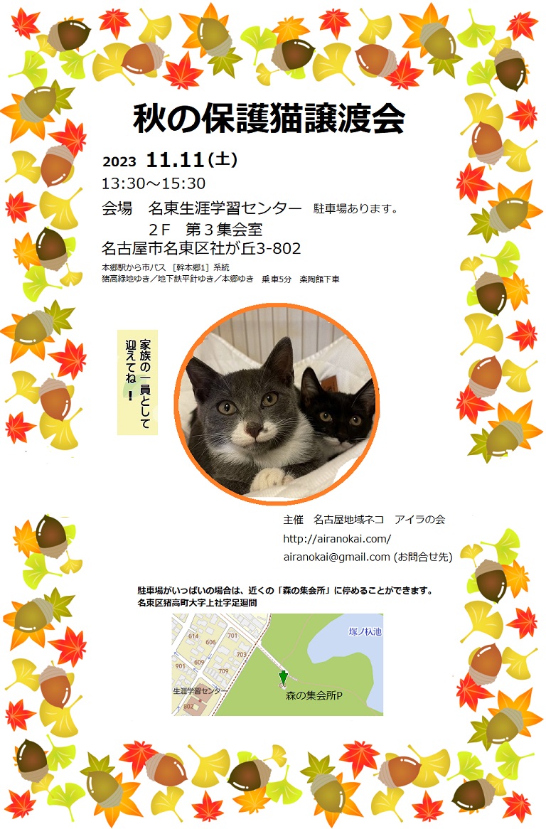 名古屋市名東区　保護猫譲渡会　by アイラの会
