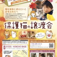 保護猫の譲渡会