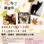 花ねこ譲渡会