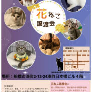 花ねこ譲渡会