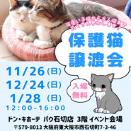 ねこの譲渡会