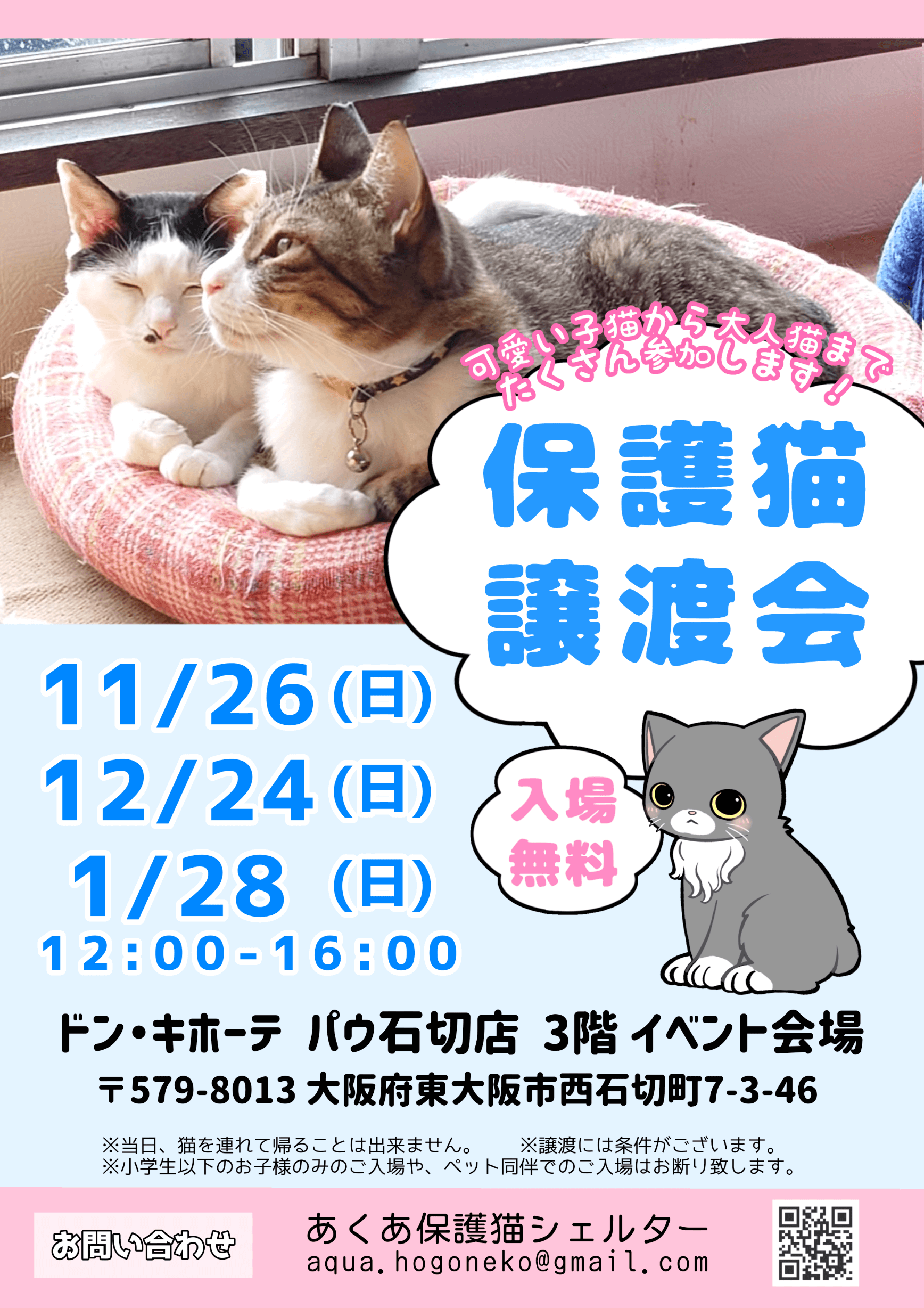 ねこの譲渡会